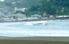 11FC16DA-0163-445F-BDCE-E5569EC83598