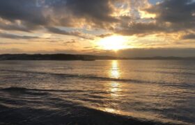 1CB8F5CE-F009-44D7-9A78-504577EA7DB4