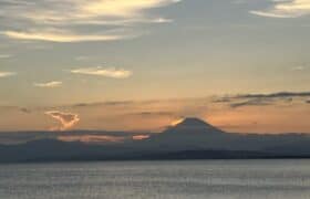 3ABD5431-3959-4416-A7F4-599028EC6B6D