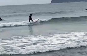 3D04A956-2A8B-4663-80A1-332B73F575CB