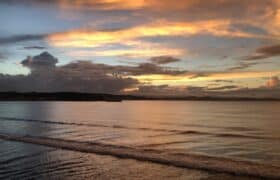 51075A0C-0544-444A-899B-AE0A693C26F7