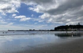 55C5E67D-6B81-4133-8AAE-C89722153D76