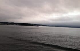 8428C529-8BD1-4660-ABC0-70E8BBA49EB5