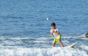 877E067B-B4B2-4EDF-9B3D-4C4EDCA68C84