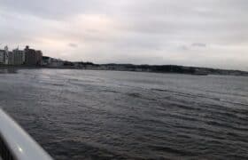 8A92F93D-61D7-4FE5-A4CB-EE162D16670C