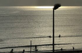 79DBA2D4-0531-4BD6-8EE0-D5EF7492942B