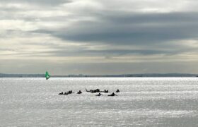 97EE7C4D-2D3A-42E5-BD7D-7AE956412399