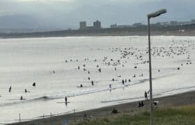 A63A8D93-F70A-4B00-80AF-BF5C118C29E9