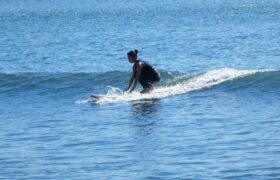 A8DC4ECC-E92A-4BDE-BF40-3114E6FCECA5