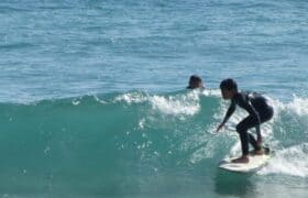 163F314F-296E-4D6B-B9B1-1C41EE8B7FA9