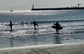 1A69D2E6-9F98-46FE-96ED-194BDB30554C