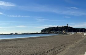 1D2C05E6-5B46-458B-824C-DE96A16167E9