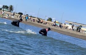 40A9A988-9509-4427-804E-13F3088BB98D