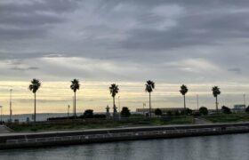 44D21915-5F23-4B8C-865A-CEF232C22298