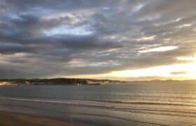 578C706C-5987-4A87-BED2-3E1C70326548