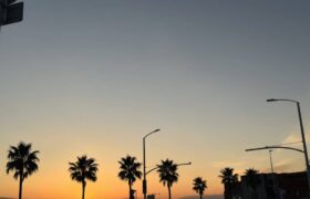 7FB693CF-5666-4ABD-A5CA-BC7C007F288E