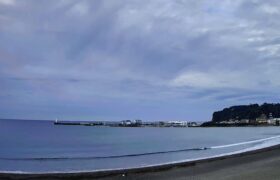 CDDA4B79-2E43-4BDB-A025-3C5956B30261