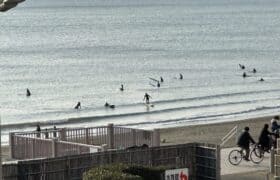 037F1CB9-DE45-4B5A-95DB-8CDFCA7D7413