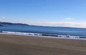 0F29E7C4-283F-4572-8A9C-5CEF3D9D4D44