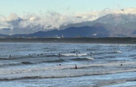 1A0A9475-78DE-475A-97D2-A3B46E136608