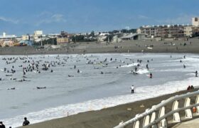 38E63665-A4A8-48D4-8B03-41726435867B