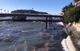 59E33595-308B-49BD-950A-E9252468443D