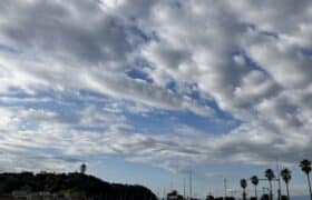 78B3D62E-C460-4D2D-ACC7-8D2EB70887B9