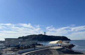 82422234-854B-42CB-BBAE-06A28A3040AE