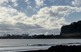 82AECD8C-B271-450C-918A-C2FBB4C65C63