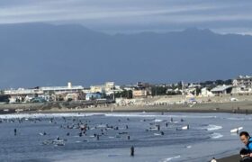 8DF100E1-4B4B-4D04-A3E9-A87AB0A049FE