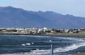 20669709-030F-4952-AEA1-C3617564E460