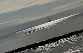 22314557-A911-48B3-B55E-6004B938A606