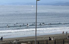 8F94185E-B859-4233-A32F-363F6E5C096D