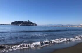 ABEA576F-EB4D-42DE-BEA4-3A826AD61829