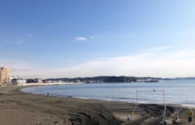 E93226C6-C508-4877-81E2-DA9D31DA12E8