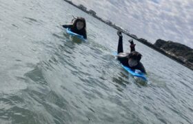 01C3D1DB-094F-465F-B3F5-E4CBC10E0820