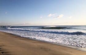 0B48E424-B845-48AA-898A-37BC3FCD95D4