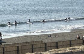 128D5E7F-2B2C-40B9-9937-5CC456E80801