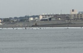 188A4CE3-5410-4B8D-8922-AE24928CF3CC