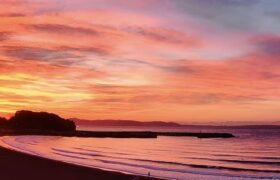 2334E836-F6ED-4C3C-870A-0886E789E0D6