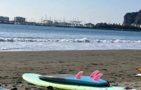 2B338F21-DE49-4C9E-969C-D10F253DF2C4