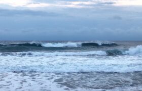 2D34D5E8-16F5-46F8-984B-7B1A6ACCD072