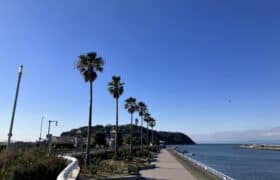 34A5887D-4518-4B19-AA25-911DDCC383FE