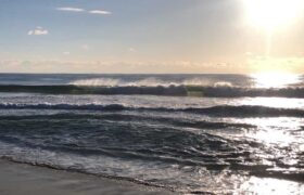 42FD27A1-7FB3-45E0-9308-F5EF3365C388