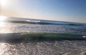 8467F6A3-792F-4D38-94CD-2C6A5F4F2257