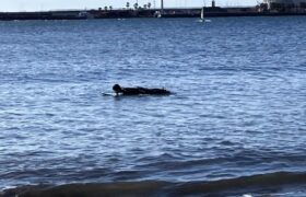 8A2B281C-AA99-44F2-9952-B79692937ED5