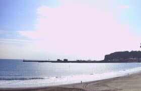 A2F855CF-0E5F-4BFA-BB60-61A78F801920