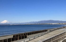 D1AF051B-DBF5-48F8-9919-D44527001990