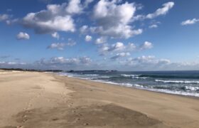 ECF32F0C-0AC8-4BF9-B702-20F21539788C