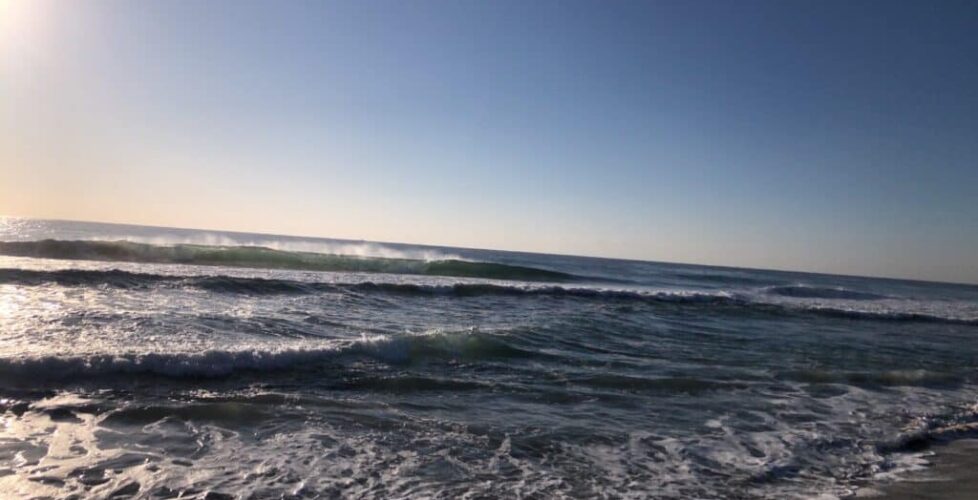 0AF53D31-D569-403B-8E6B-74216A06A5CA